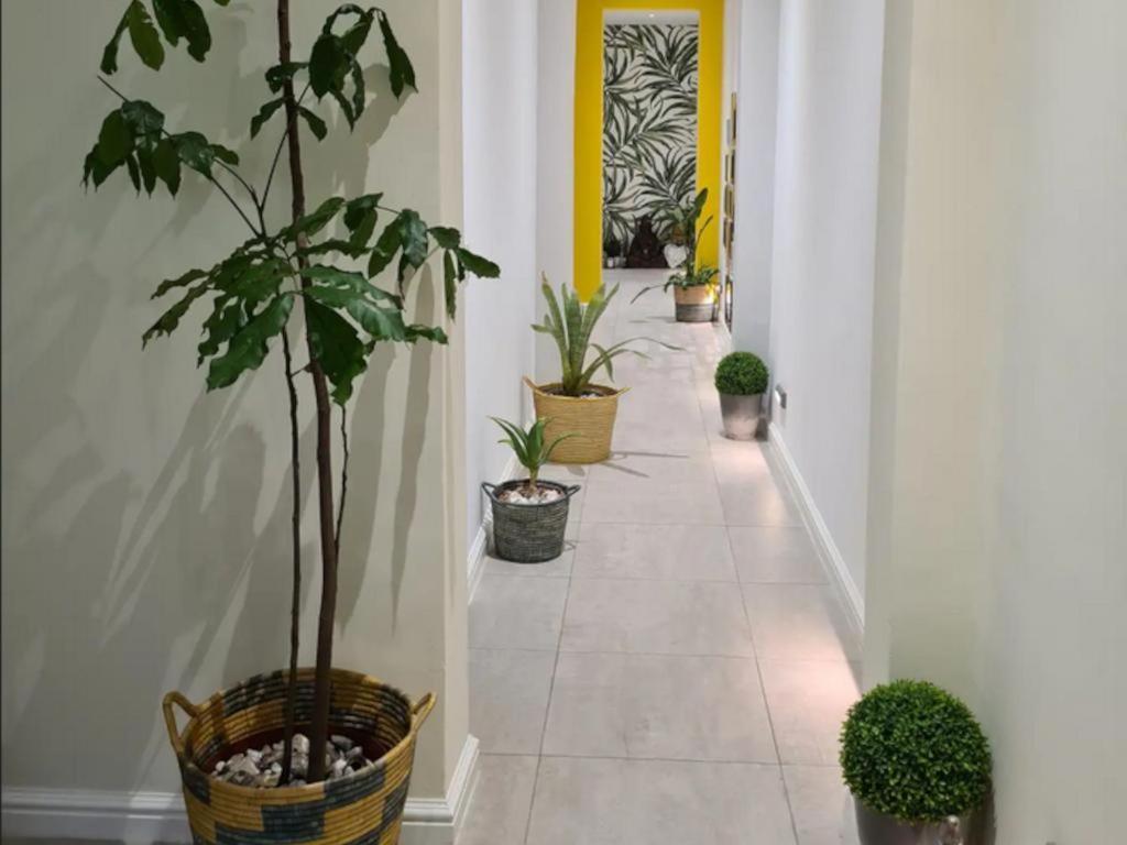 Hotel The Little Big Green House Muizenberg Zimmer foto